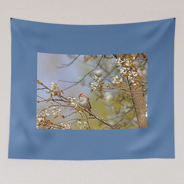 Item preview, Chipping Sparrow In The Serviceberry designed and sold by Deb Oppermann.