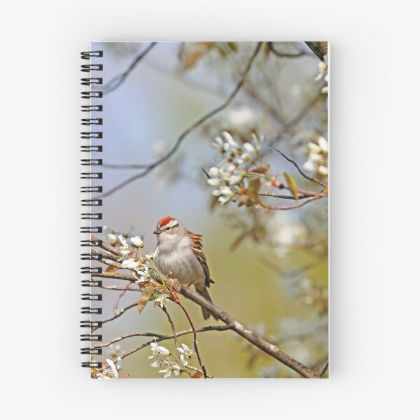 Item preview, Chipping Sparrow In The Serviceberry designed and sold by Deb Oppermann.