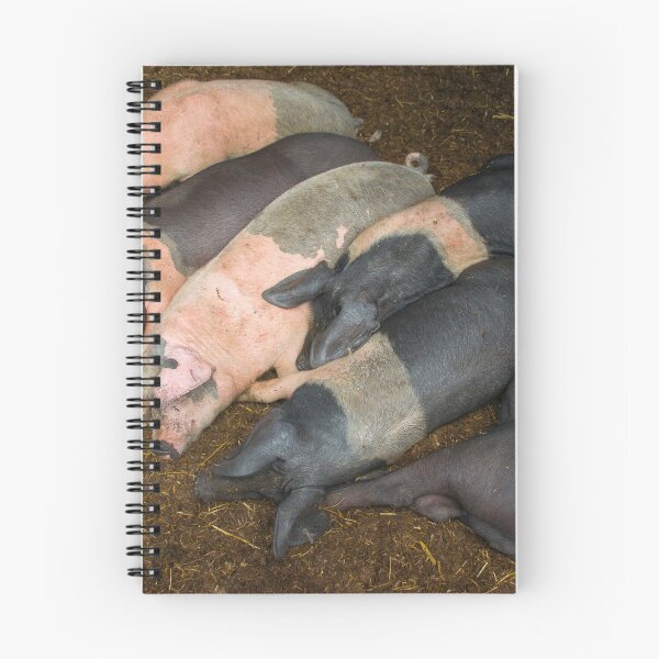 Item preview, Sleeping Piggies  designed and sold by hawkie.