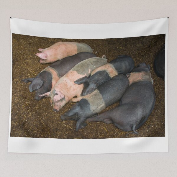 Item preview, Sleeping Piggies  designed and sold by hawkie.