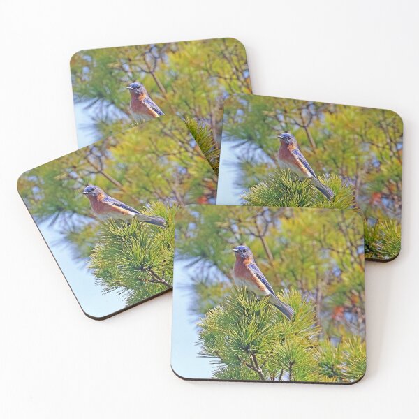 Item preview, Eastern Bluebird Looking Regal designed and sold by Deb Oppermann.