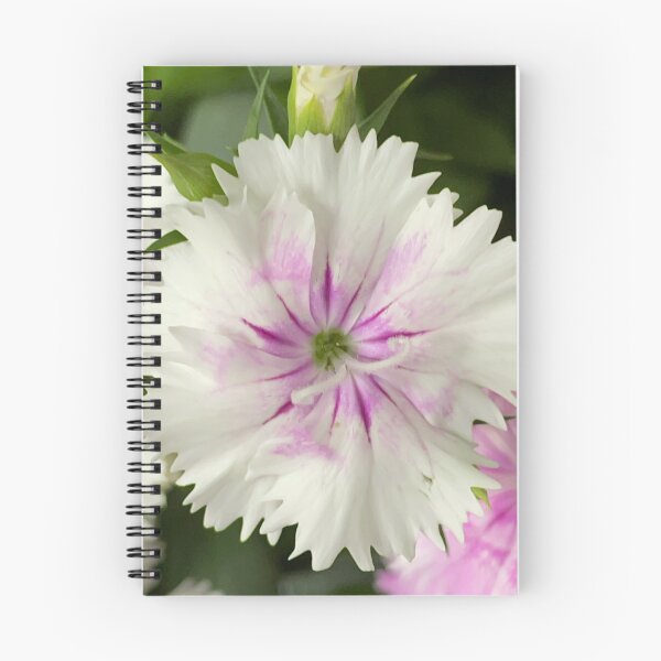 Item preview, Dianthus  designed and sold by JenStClair.