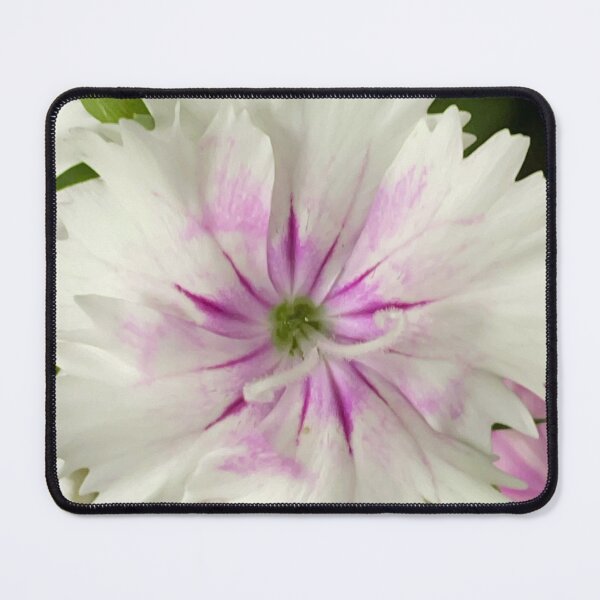 Item preview, Dianthus designed and sold by JenStClair.