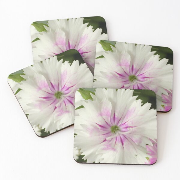 Item preview, Dianthus  designed and sold by JenStClair.