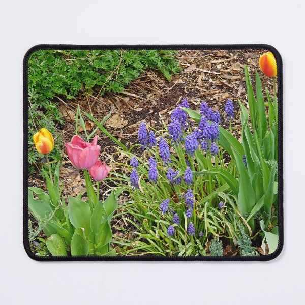 Item preview, Benson Sculpture Garden Spring Study 2  designed and sold by Robert Meyers-Lussier.