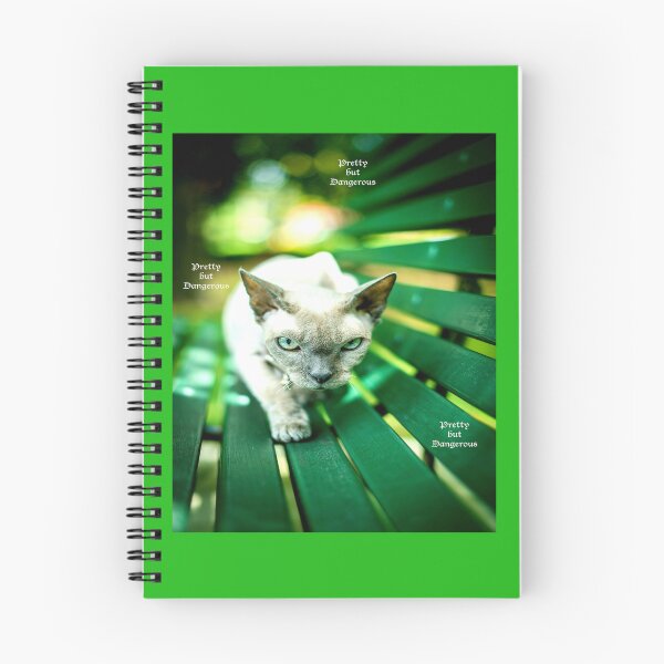 Item preview, PRETTY BUT DANGEROUS designed and sold by LiveVolcano.