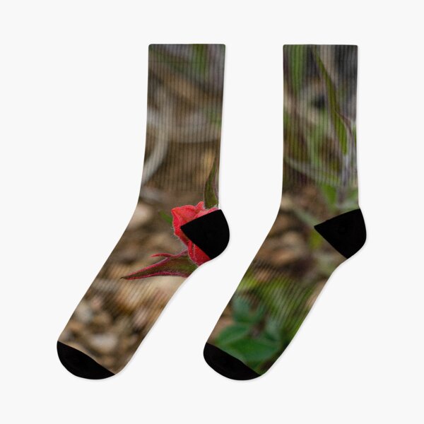 Item preview, Indian paintbrush flowers blooming in the mountains designed and sold by Shizenkai.