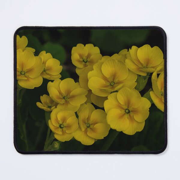 Item preview, Pretty Yellow Shrubby Cinquefoil designed and sold by Gerda Grice Photography.