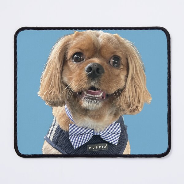 Item preview, Handsome Boy designed and sold by lpolitano.