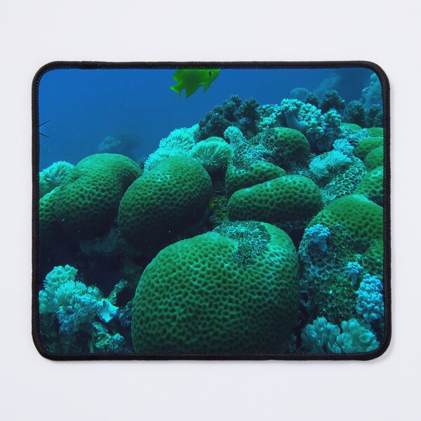 Item preview, Red Sea coral reef designed and sold by likbatonboot.