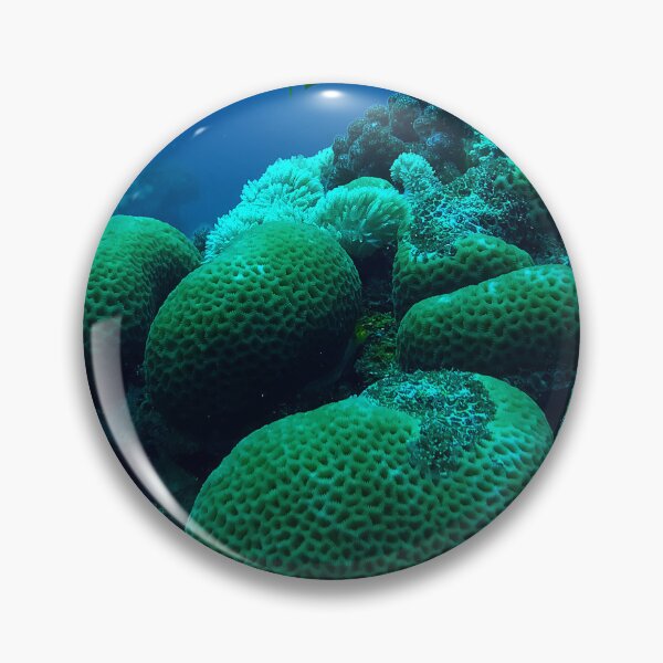 Item preview, Red Sea coral reef designed and sold by likbatonboot.