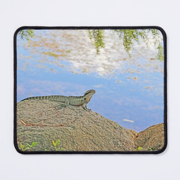 Item preview, Australian Water Dragon designed and sold by STHogan2.