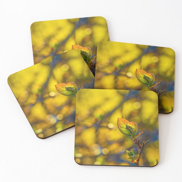 Item preview, Spring 8 designed and sold by Veikko  Suikkanen.