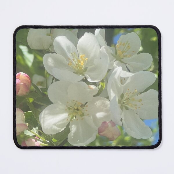 Item preview, Soft Light designed and sold by Abeink1030.