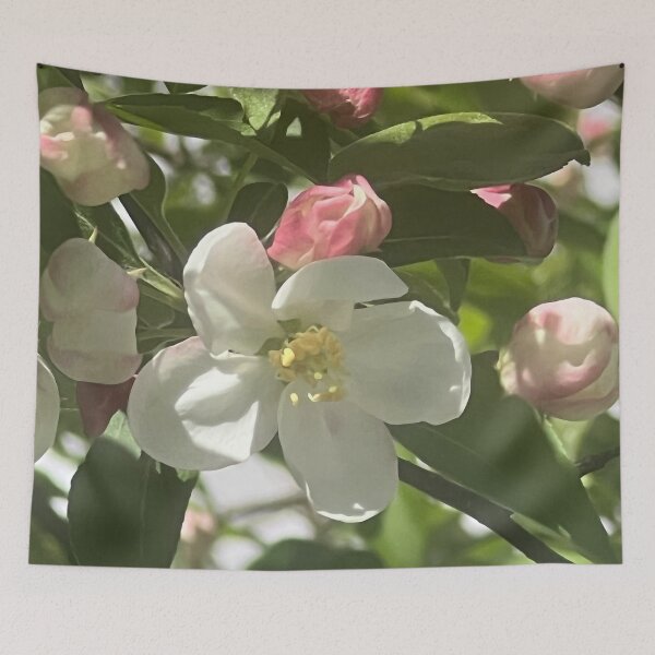 Item preview, Soft Light 3  designed and sold by Abeink1030.