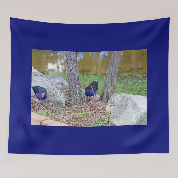 Item preview, Swamp Hens designed and sold by STHogan2.