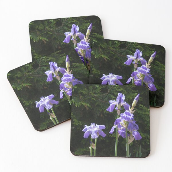 Item preview, Pale Purple German Irises and Deep Green Cypresses designed and sold by Georgia Mizuleva.