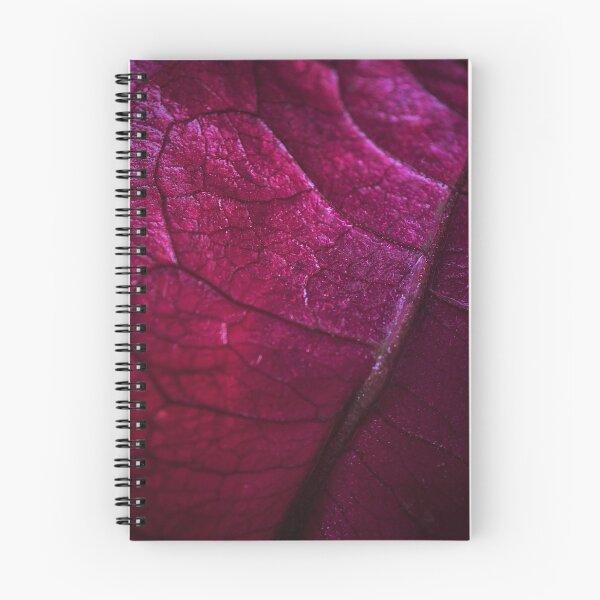 Item preview, DEEP PINK VEINS - a macro photo of a pink Bougainvillea leaf designed and sold by OZKURO.