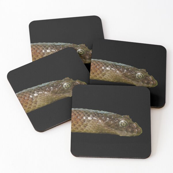 Item preview, Horned Sea Snake (Hydrophis peronii) designed and sold by CNZdenek.