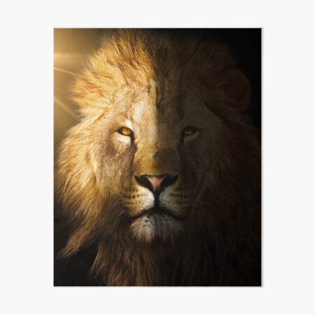 Lion King Art Print by Mark Ashkenazi - Fine Art America