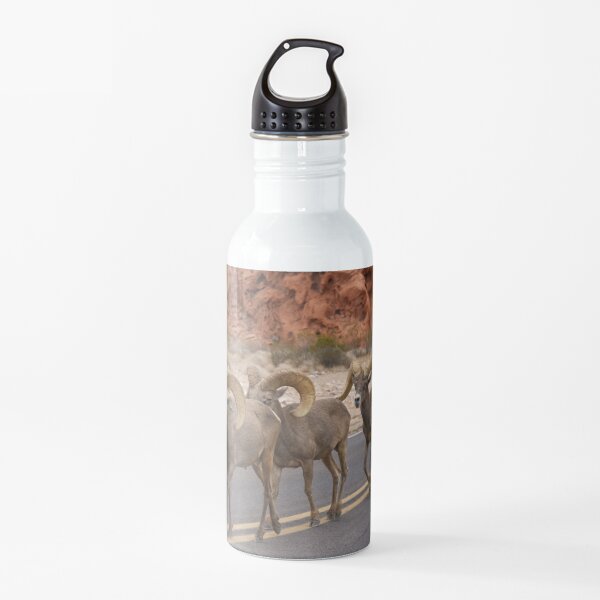 Big horn sheep. Water Bottle