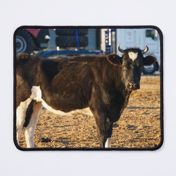 Item preview, Country cow. designed and sold by BlueHighG.