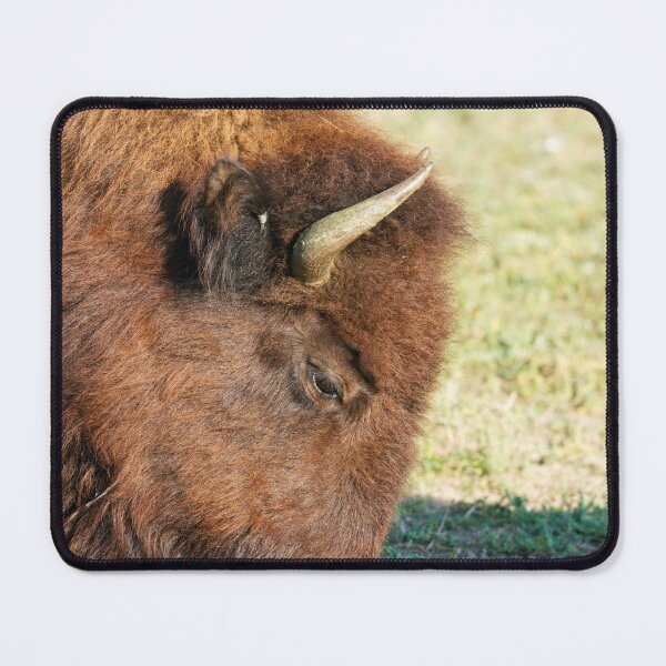 Item preview, North Dakota Bison. designed and sold by BlueHighG.