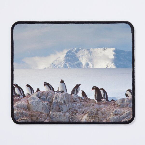 Item preview, The Creche (Gentoo Penguins, Port Lockroy, Antarctica) designed and sold by Krys Bailey.