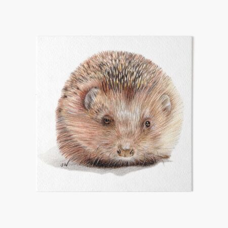 Item preview, Hedgehog designed and sold by SandraWarmerdam.