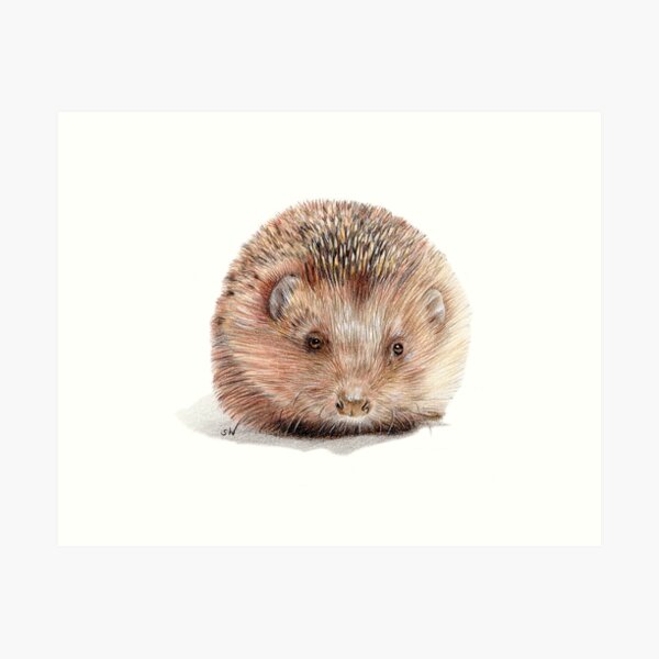 Item preview, Hedgehog designed and sold by SandraWarmerdam.