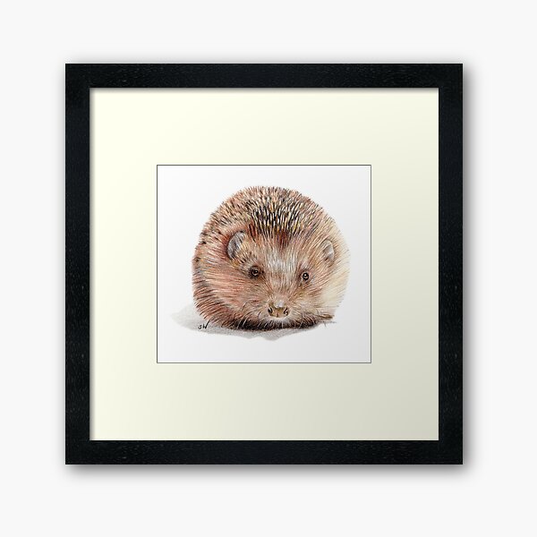 Item preview, Hedgehog designed and sold by SandraWarmerdam.