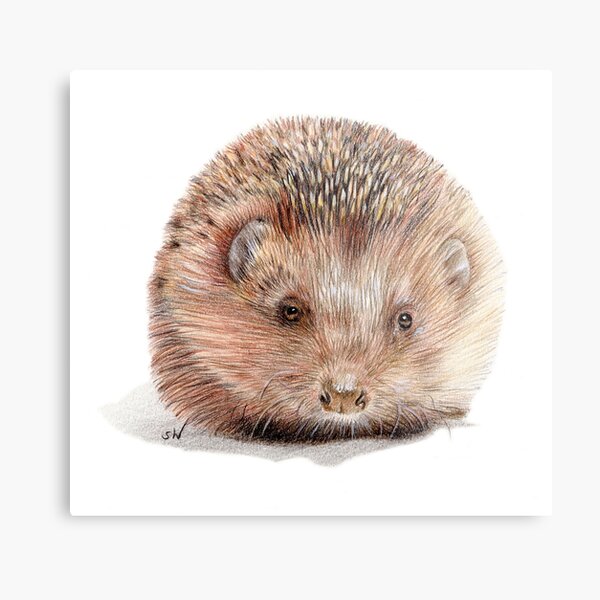 Item preview, Hedgehog designed and sold by SandraWarmerdam.