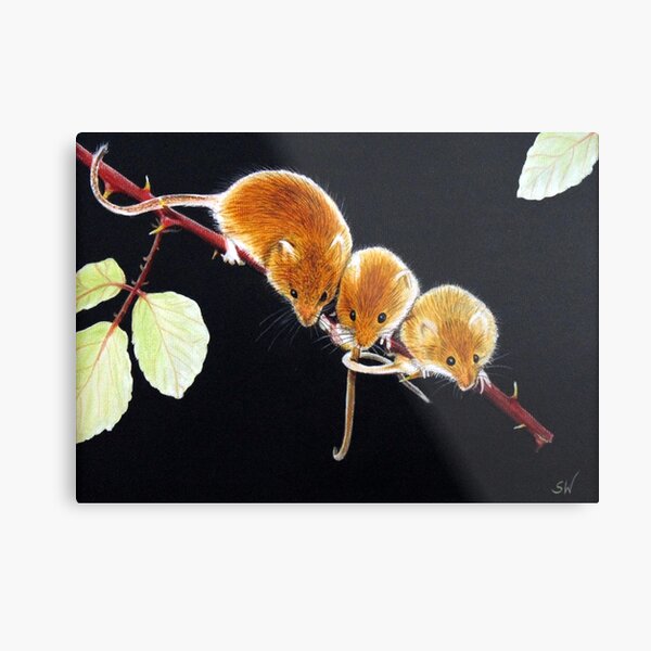 Item preview, Harvest Mice Painting designed and sold by SandraWarmerdam.