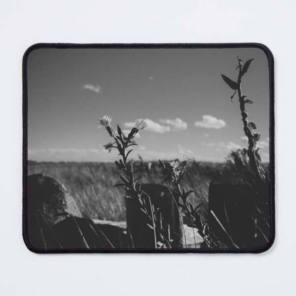 Item preview, Flower of the Dunes and Dikelands, New-Brunswick Canada V2 designed and sold by Family Journey with God.