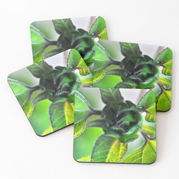 Item preview, Hide The Pain designed and sold by Denise Abé.