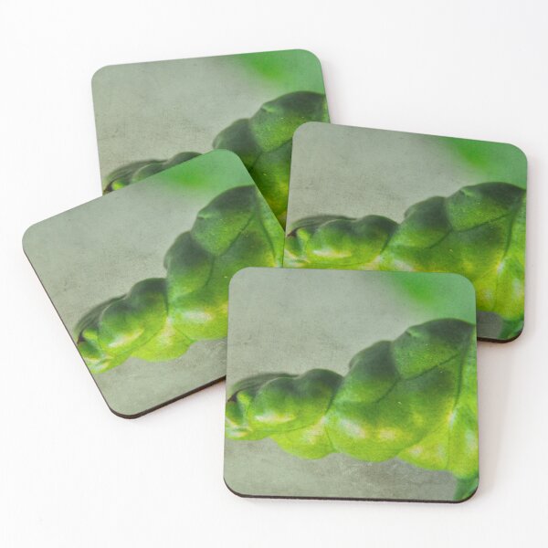 Item preview, Somehow I Kept My Composure designed and sold by Denise Abé.