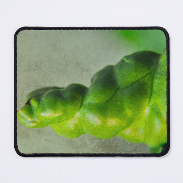 Item preview, Somehow I Kept My Composure designed and sold by Denise Abé.
