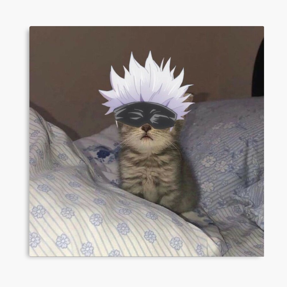gatosyocora✴︎✴︎ がとーしょこら (@gatosyocora) / X