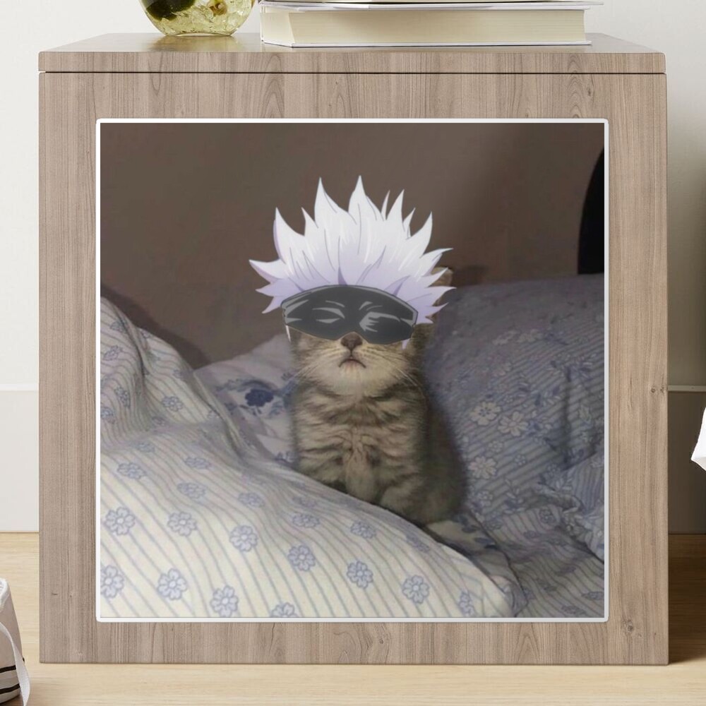 Funny cat Gojo satoru