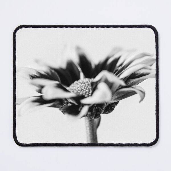 Item preview, Chrysanthemum In Black And White designed and sold by Tanya C Smith.
