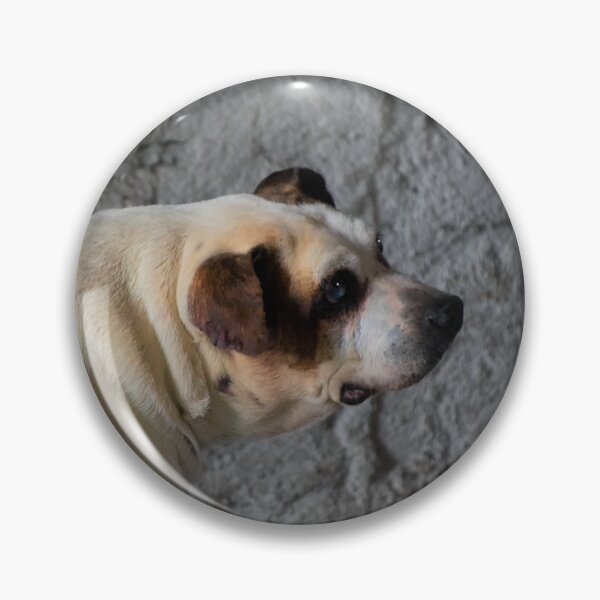 Item preview, Killer Was A Survivor II designed and sold by alabca.