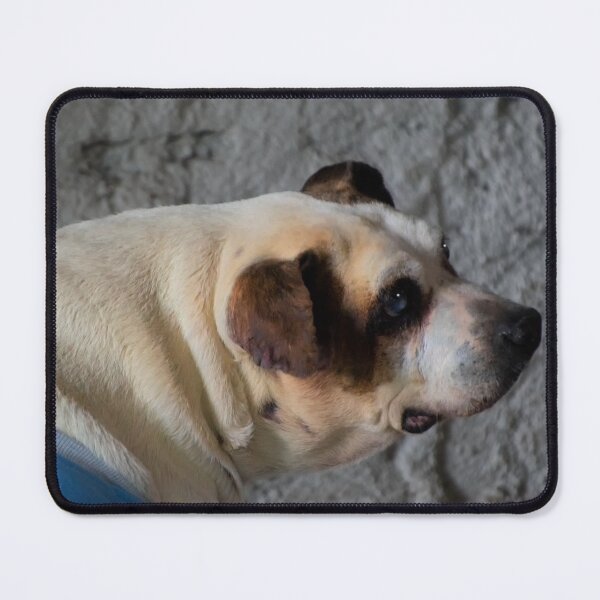 Item preview, Killer Was A Survivor II designed and sold by alabca.
