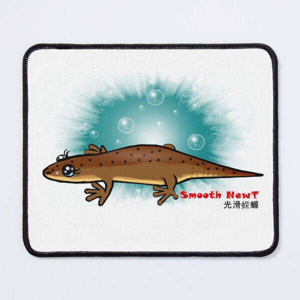Item preview, Smooth newt  designed and sold by Shirley cute art .