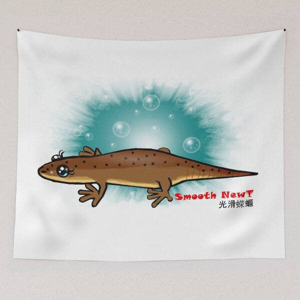 Item preview, Smooth newt  designed and sold by Shirley cute art .