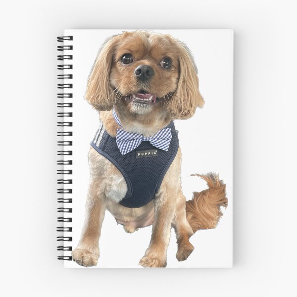 Item preview, Handsome Boy designed and sold by lpolitano.