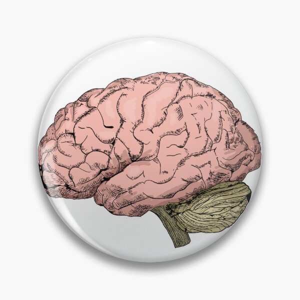 Item preview, Cool Vintage Style Anatomical Brain Sketch designed and sold by warholsdaydream.
