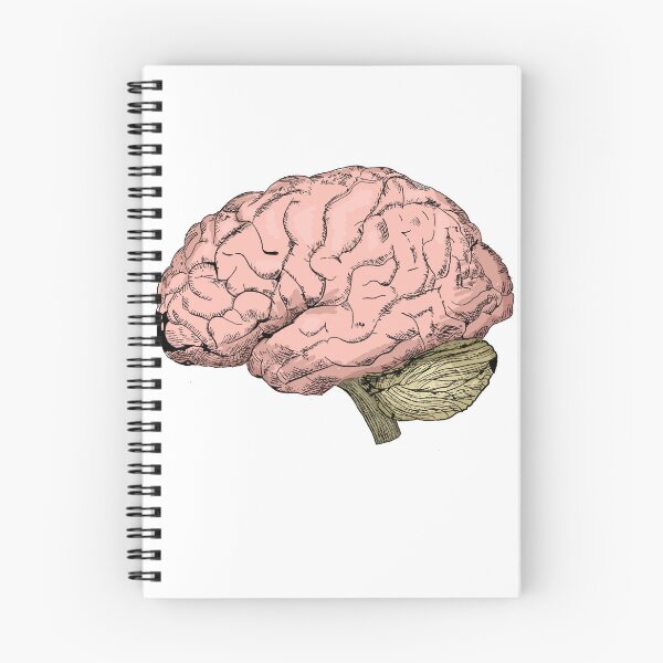 Item preview, Cool Vintage Style Anatomical Brain Sketch designed and sold by warholsdaydream.