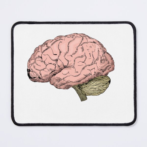 Item preview, Cool Vintage Style Anatomical Brain Sketch designed and sold by warholsdaydream.