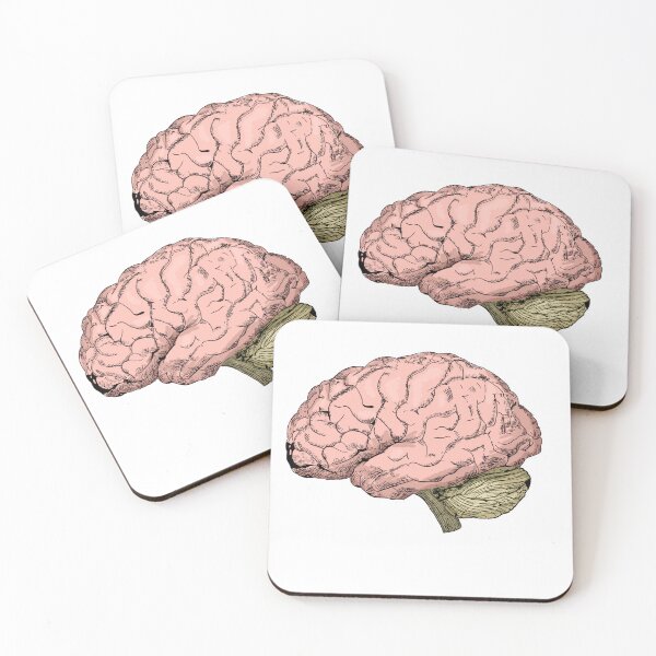 Item preview, Cool Vintage Style Anatomical Brain Sketch designed and sold by warholsdaydream.
