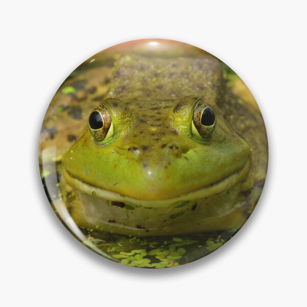 Artikelvorschau, Glücklicher Frosch entworfen und verkauft von WWbugsandslugs.